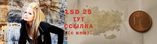 трава Ельня