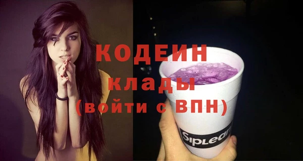 трава Ельня
