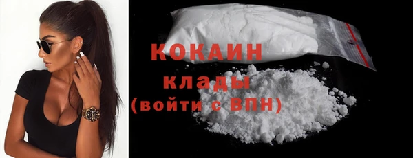 трава Ельня