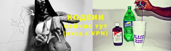трава Ельня