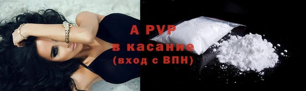 трава Ельня