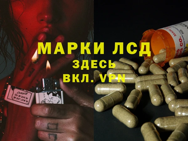 трава Ельня