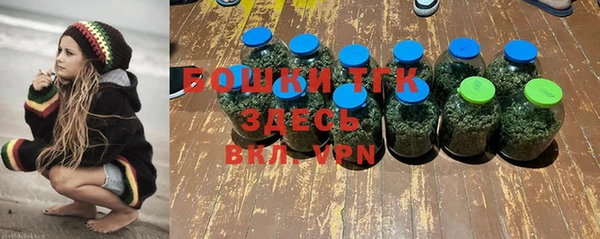 крисы Елизово