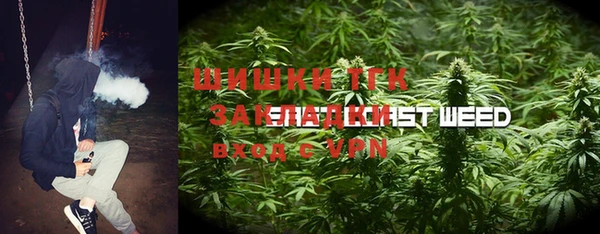 трава Ельня