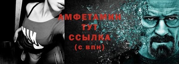 трава Ельня