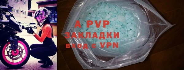 трава Ельня