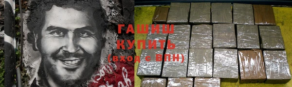 трава Ельня