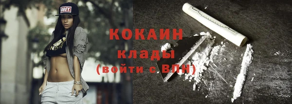 трава Ельня