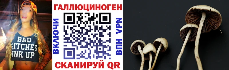 Купить закладки  Козловка  Псилоцибиновые грибы прущие грибы 